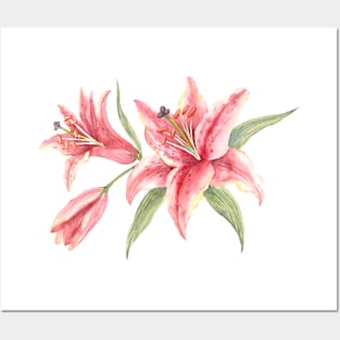 Bush Pink Stargazer Lilies. Watercolor illustration. Posters and Art